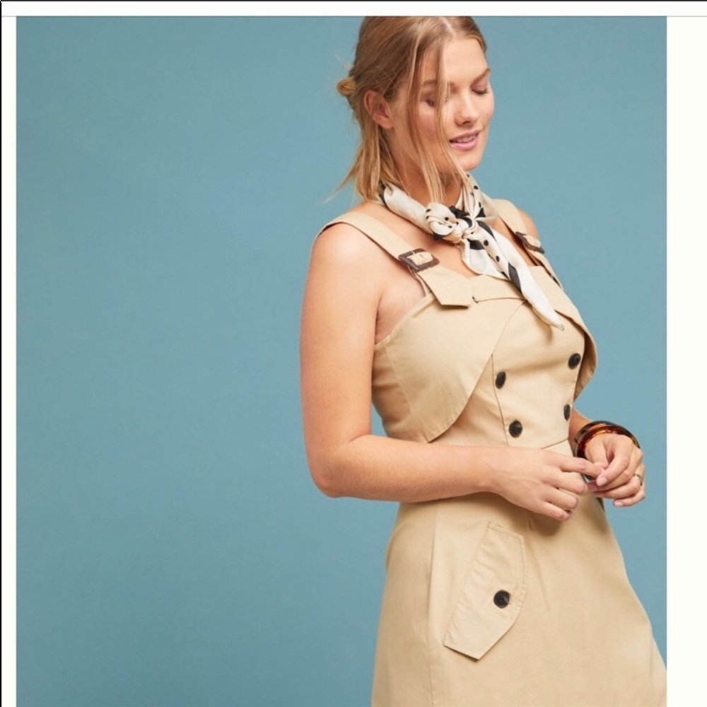 Eva Franco Anthropologie Pinafore Olga Dress Small